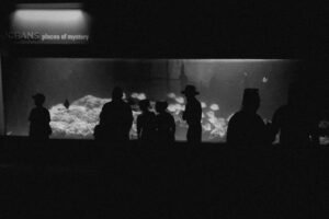 gabe-eastridge-WBN3tXaA6I0-unsplash gabe-eastridge-WBN3tXaA6I0-unsplash
