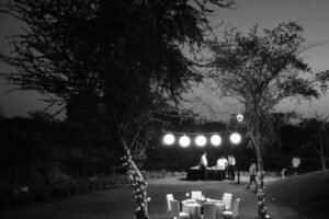 vishal-tiwari-pAg7v435E_I-unsplash vishal-tiwari-pAg7v435E_I-unsplash
